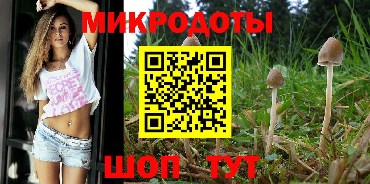 Галлюциногенные грибы MAGIC MUSHROOMS Тюмень